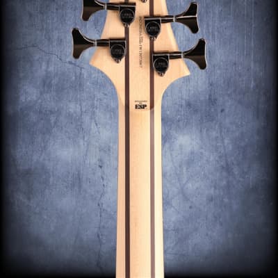 ESP LTD B205SM-FL Fretless 5 String Electric Bass Guitar Natural Satin image 7