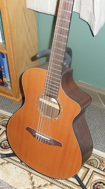 Breedlove AN 250 / CR  Natural image 1