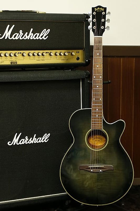 新作登場限定SALEStafford El.Acoustic Guitar SAJ-880Z? その他