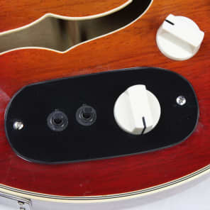 Goya 107-S Rangemaster Hollow Body Electric Guitar image 12