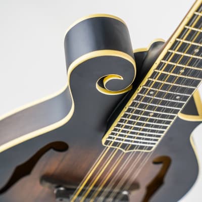 Gold Tone I-F12 Gold Tone F-Style 12-String Mando-Guitar w/ Foam Case image 19