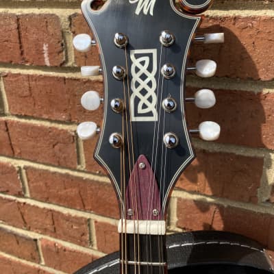 Micawber Cheverly Mandolin image 6