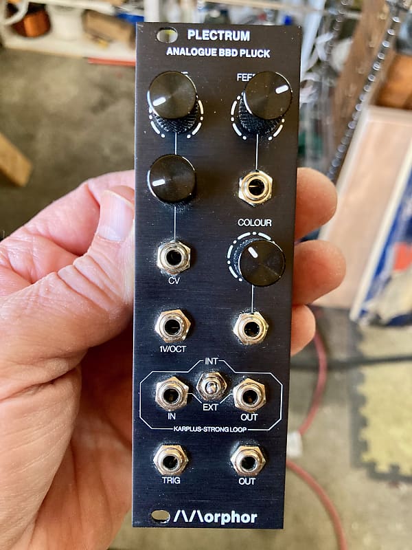 Morphor Plectrum Analogue BBD Pluck