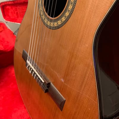 Daniel Mendes Eight String Guitar 2018 Cedar / Brazilian Rosewood image 10