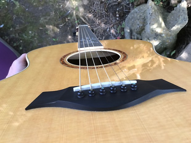 【プレミアム限定モデル】Taylor XXV-PR 25周年記念モデル エレアコ Taylor XXV-DR 25th Anniversary Electro Acoustic Guitar | eBay
