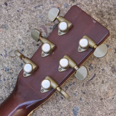 1970s Tokai Cats Eyes CE-300 Vintage Acoustic (Made in Japan