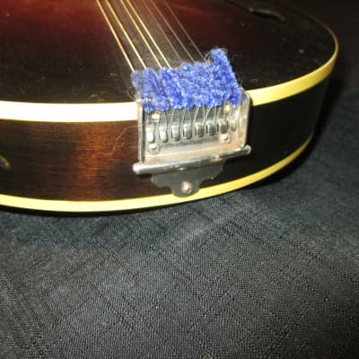 Gibson A50? Mandolin image 6