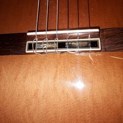 D.W.Stevens 1A  Classical Guitar With Cutaway image 3