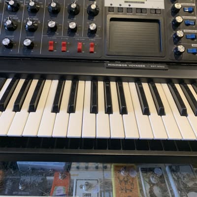 Moog Minimoog Voyager Electric Blue Edition 44-Key Monophonic 