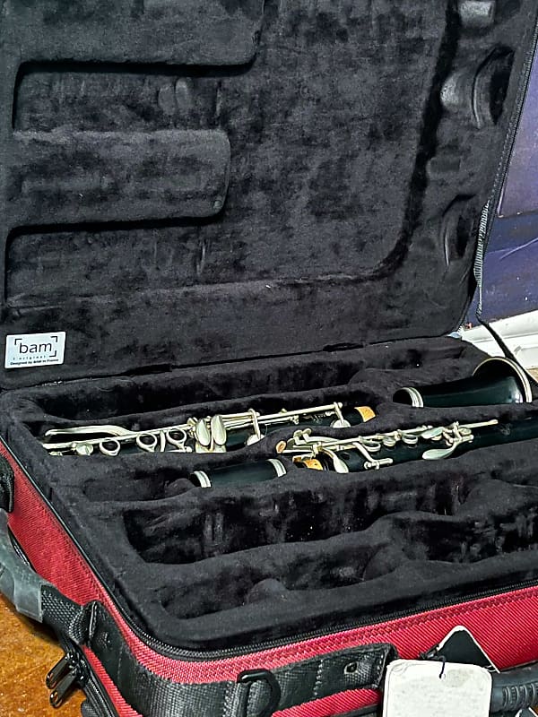 Buffet Crampon R13 with BAM Double Case Reverb