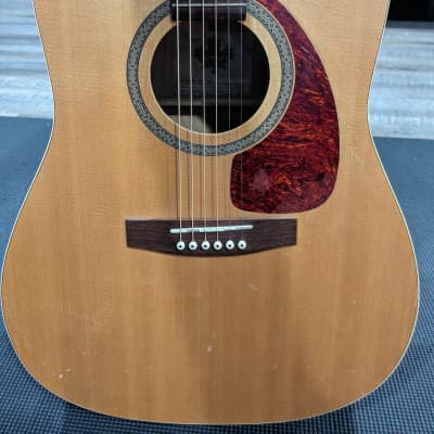 Norman B20 (6) Acoustic Guitar 2004 Natural for sale