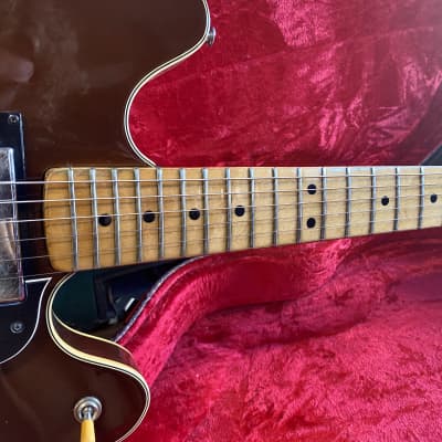 Fender Starcaster 1976 - Walnut (Mocha) image 9