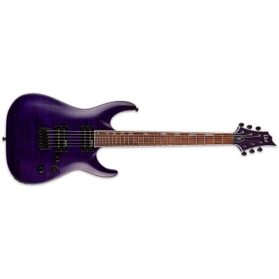 ESP LTD H-200FM See Thru Purple Electric Guitar + FREE GIG BAG - H-200 FM H200 - BRAND NEW image 1