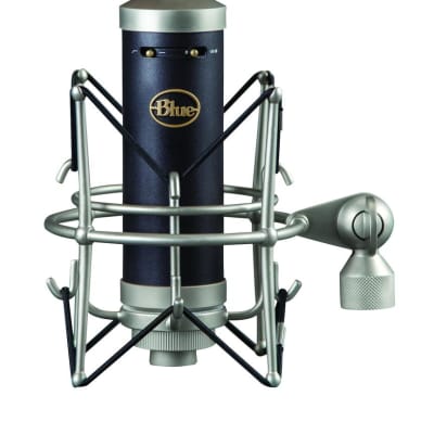 Blue Baby Bottle SL Large Diaphragm Cardioid Condenser Microphone