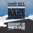 Ernieball Stainless Steel Flatwound Flex Bass Strings 40-95