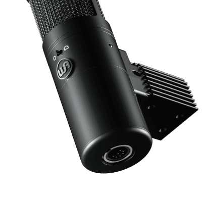 Warm Audio WA-8000 Large Diaphragm Tube Condenser Microphone image 1
