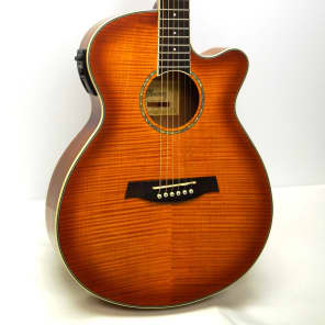 Ibanez AEG7-TBO AEG Single Cutaway 6-String Acoustic Electric