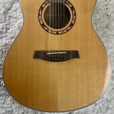 Used Ibanez AEF1812-NT-OP-02 12-String Acoustic w/ Hardshell Case image 1