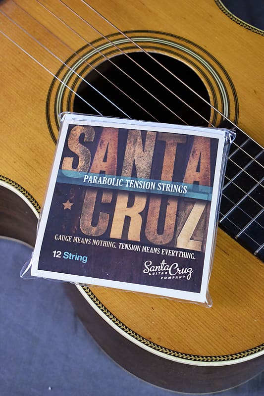 Santa Cruz Parabolic Tension Strings 12 String Reverb