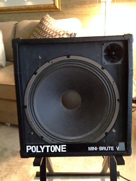 Polytone Mini Brute V Black