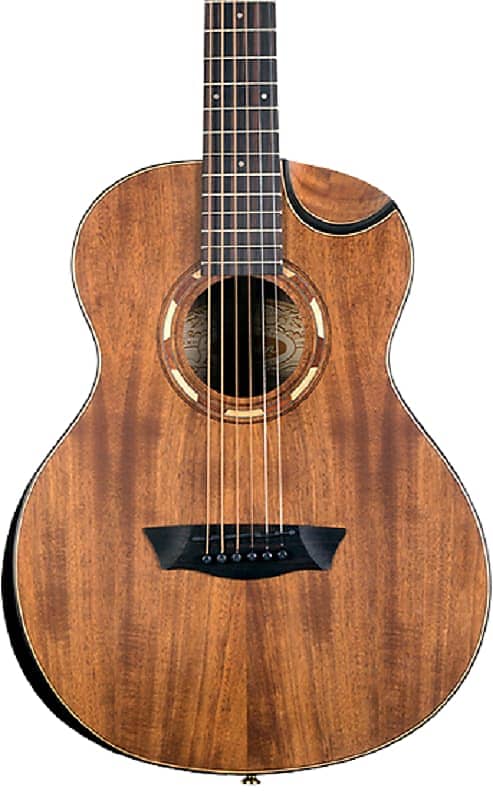 セール！Washburn Comfort G-MINI 55 KOA ミニアコギ Washburn Guitars