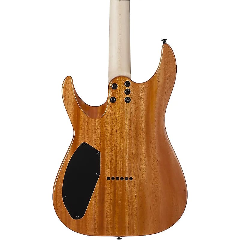 Schecter CR-6 image 3