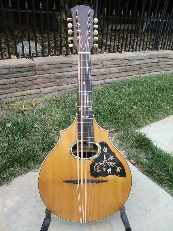 RARE! 1915 Vega 10String HYBRID Mandolin Mandola Reverb