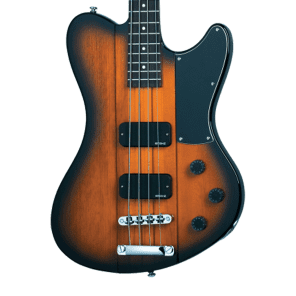 Schecter Ultra Electric Bass | zZounds