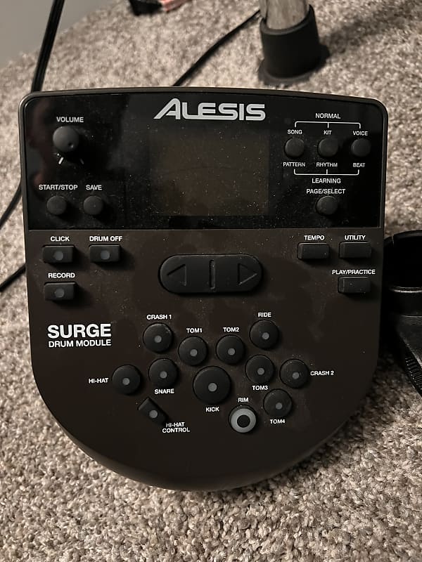 Alesis Surge Module + accessories | Reverb