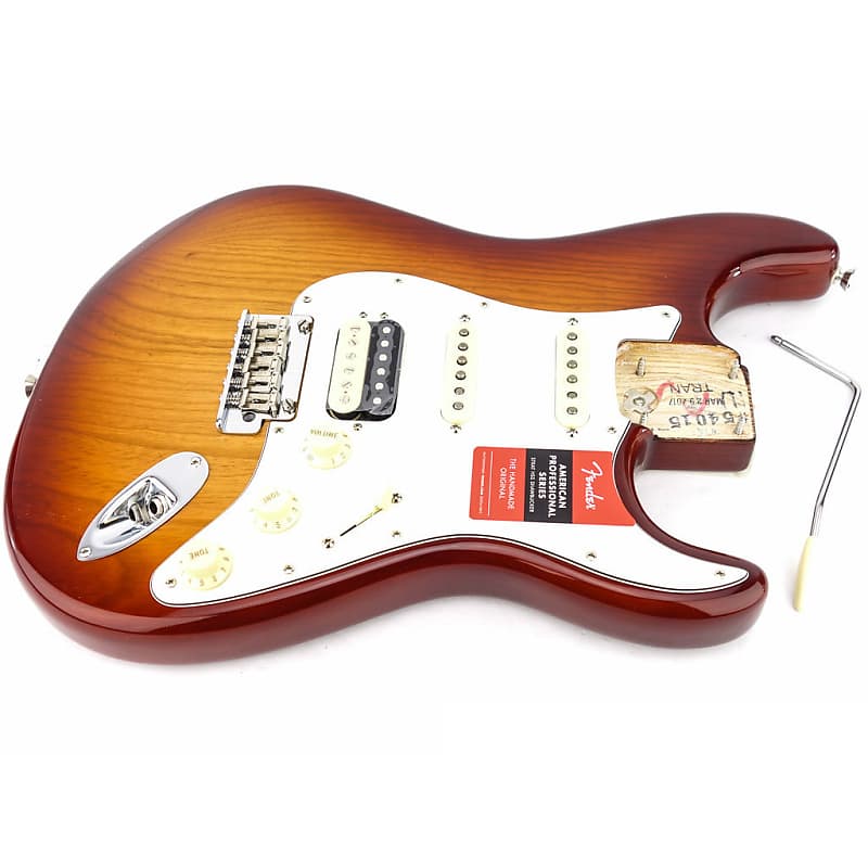 Fender American Professional Stratocaster HSS Body image 1
