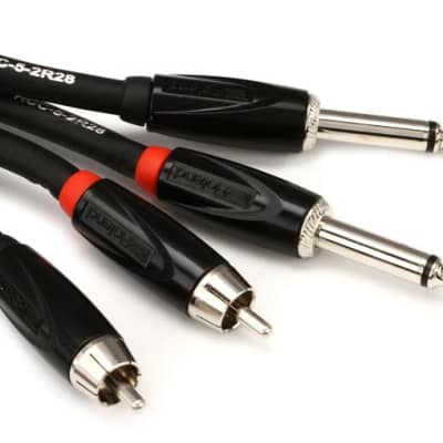 Roland RCC-5-2R28 Dual 1/4-inch TS Male to RCA Male Interconnect Cable - 5 foot