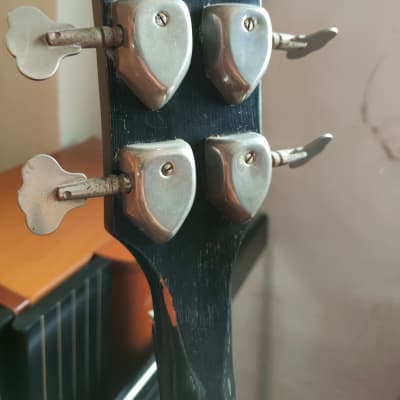 Vintage Egmond Colorado Bass image 8