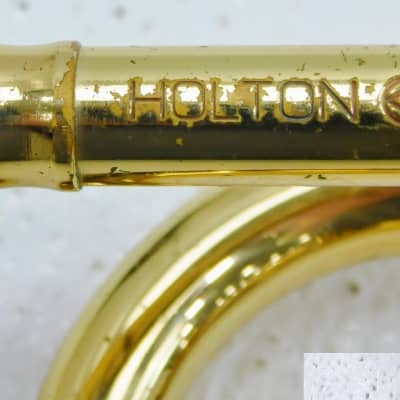 Holton Collegiate T602 Trumpet, USA, Lacquered Brass, with case/mouthpiece image 2