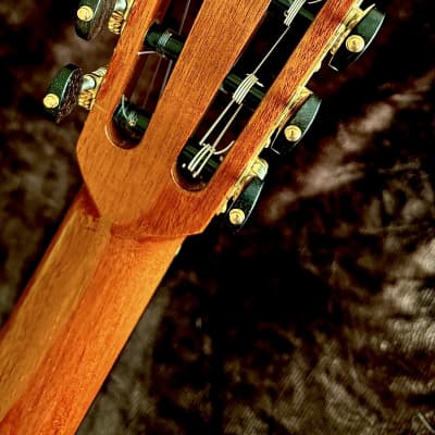 ARNULFO RUBIO Double Top with Nomex Grand Concert Master Grade-Cedar/Ancient Brazilian Rosewood image 7
