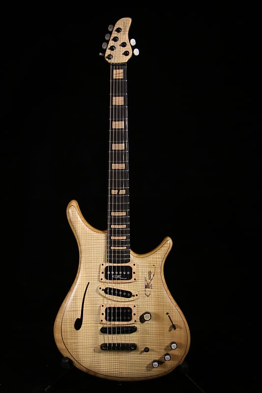KRITZ custom guitar stradovarius SJ219 image 1