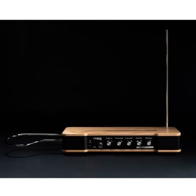 moog [GW Gold Rush Sale] Etherwave Theremin (MG EW THEREMIN) + Stand Set image 2