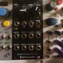 Erica Synths Black Dual EG/LFO 2014 - Present - Black
