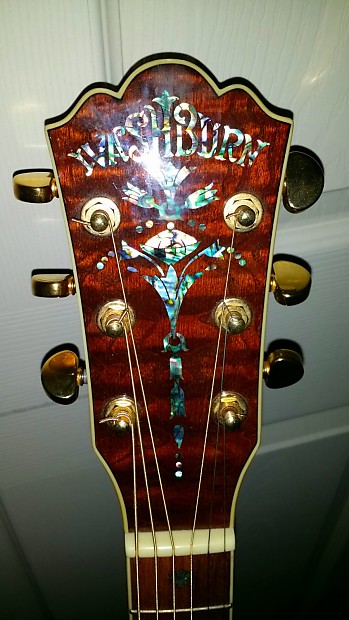 Washburn WG4S