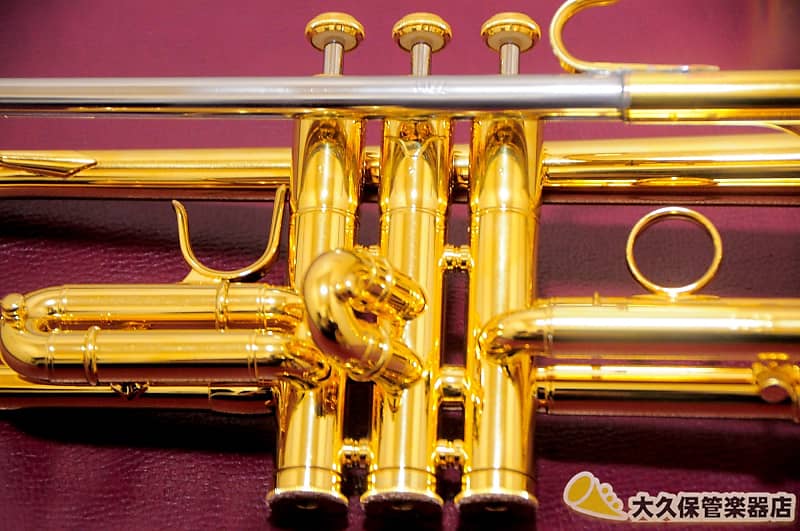 管楽器・吹奏楽器 CADESON TR2000GP Cadeson TR-2000GP “Shu” w/BUZZ Leadpipe B♭ Trumpet | Reverb