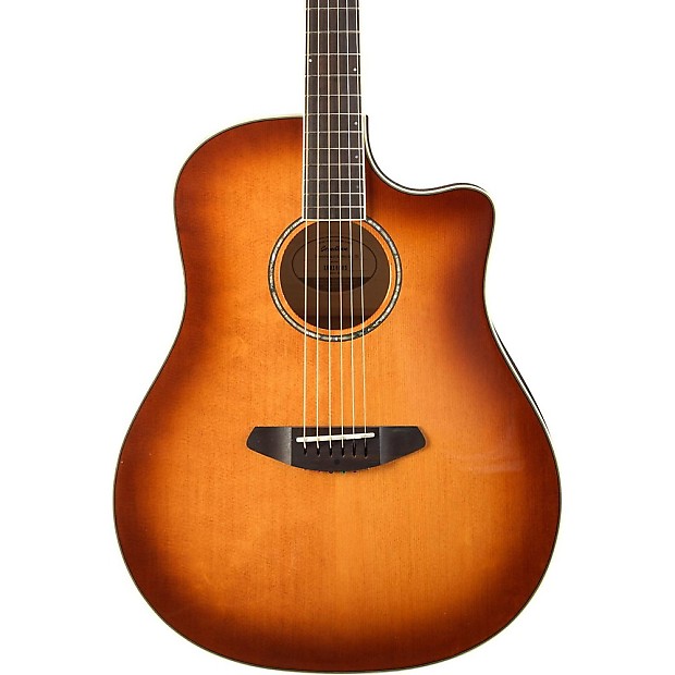 Breedlove pursuit discount dreadnought