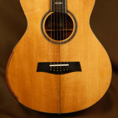 Harvey Leach Custom Homestead "The Tree" Mahogany Acoustic Guitar image 8