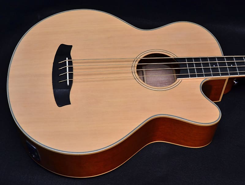 Tanglewood tw8ab 2024