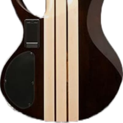 Ibanez BTB746 6-String Bass Guitar, Natural Low Gloss image 3