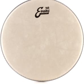 Evans Calftone Drumhead - 13 inch image 5