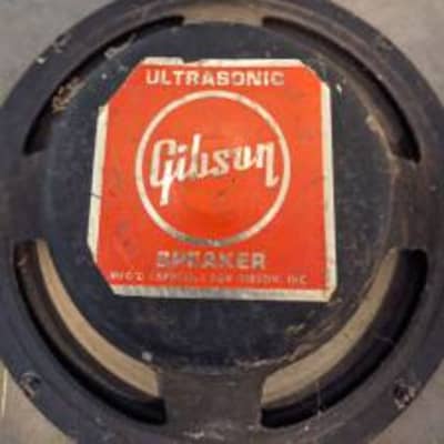 Gibson Ultrasonic 10" Speaker (Hapco) image 3