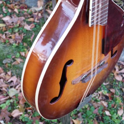 Harmony Monterey mandolin image 4
