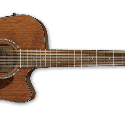 Ibanez AW5412CE 12-String Acoustic/Electric Guitar Natural for sale