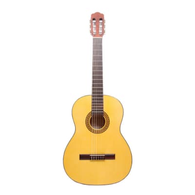 Hora Classical Guitar & Case N1010 Spanish Full Size Nylon String All Solid Body image 1