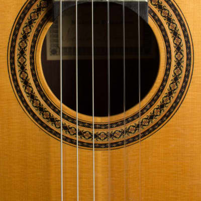 Nicholas P. Ioannou  Classical Guitar (1992), black hard shell case. image 9