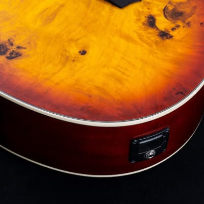 Washburn DFBACEA | Deep Forest Burl Grand Auditorium Ac / El Guitar, Amber Fade. New with Full Warranty! image 13